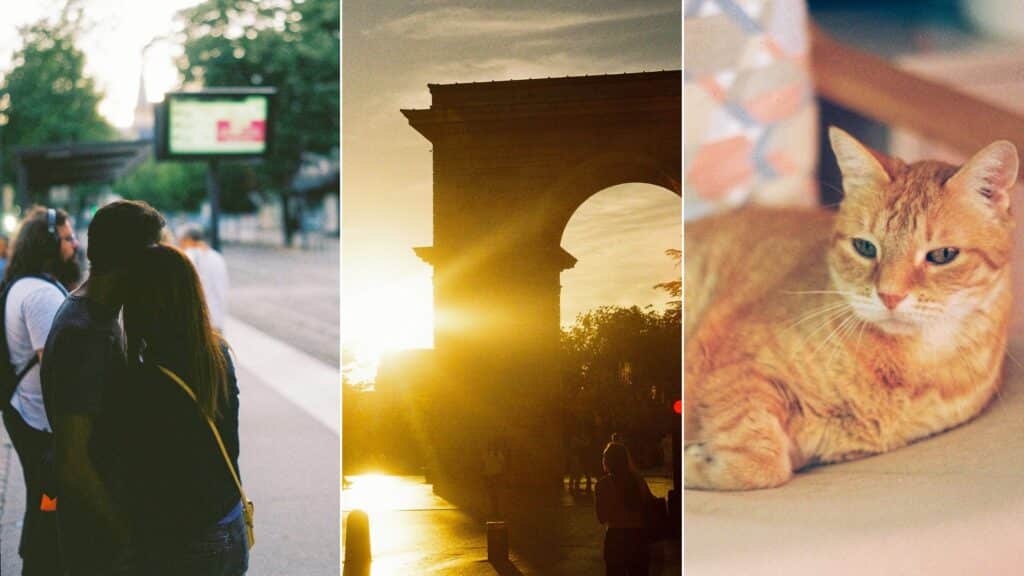 La Kodak Gold 200 : la pellicule parfaite pour débuter